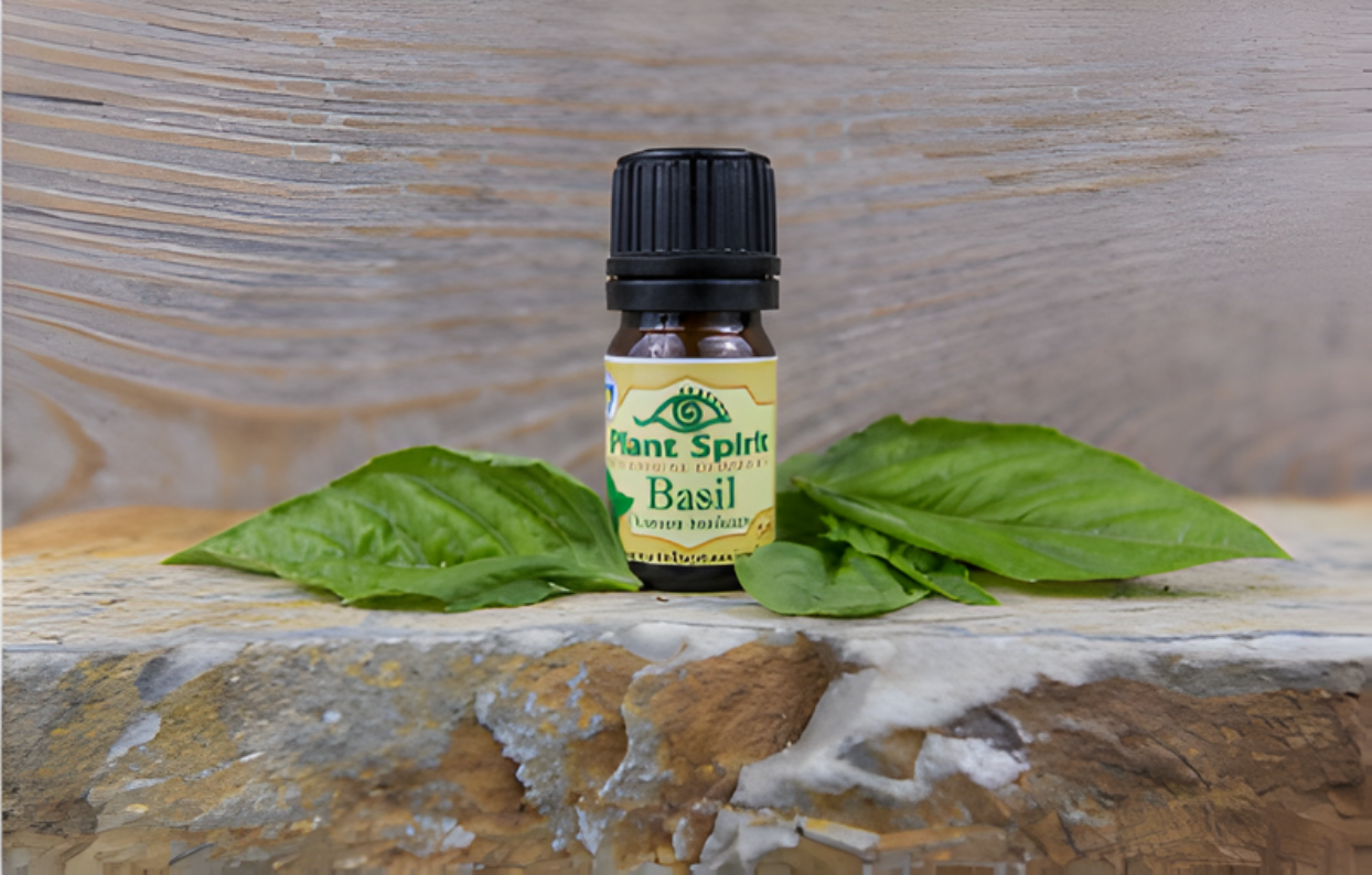 Organic Basil Essential Oil 5ml (Ocimum basilicum)