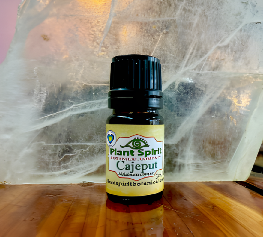 Organic Cajeput Essential Oil 5ml (Melaleuca cajeputi)