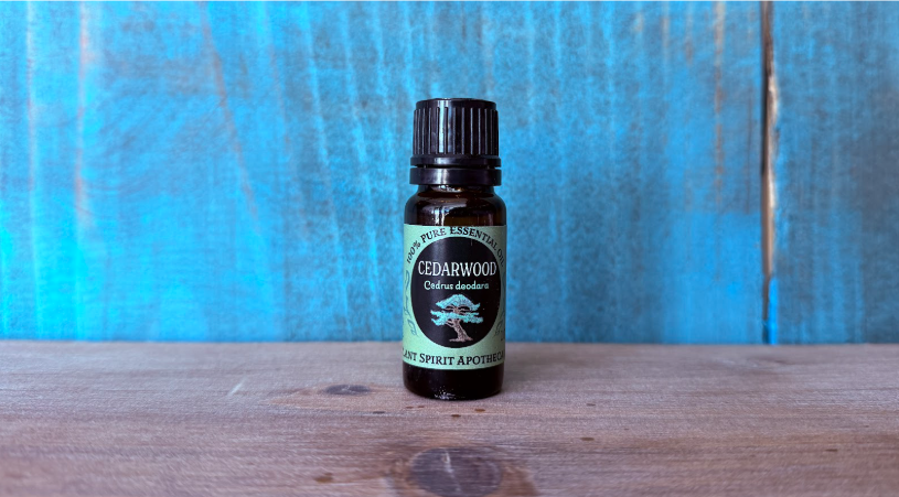 Organic Cedarwood Essential Oil 10ml (Cedrus deodora)