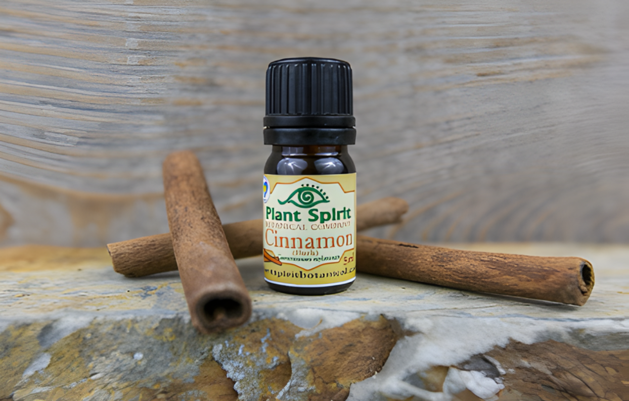 Organic Cinnamon Bark Essential Oil 5ml (Cinnamomum zeylanicum)
