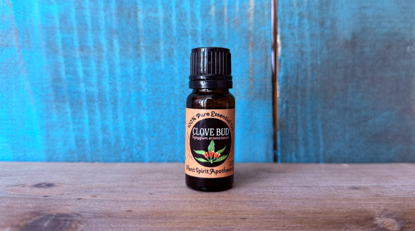Organic Clove Bud Essential Oil 10ml (Syzygium aromaticum)