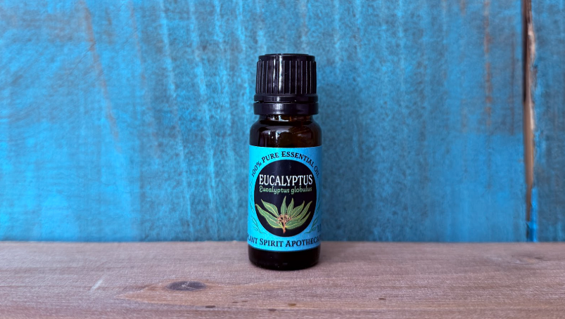 Organic Eucalyptus Essential Oil 10ml (Eucalyptus globulus)