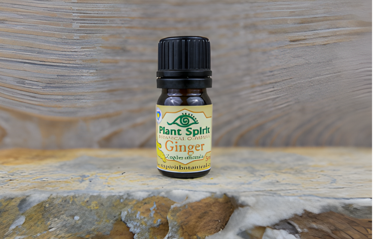 Organic Ginger Essential Oil 5ml (Zingiber officinalis)