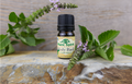 Organic Holy Basil Essential Oil 5ml (Ocimum sanctum)