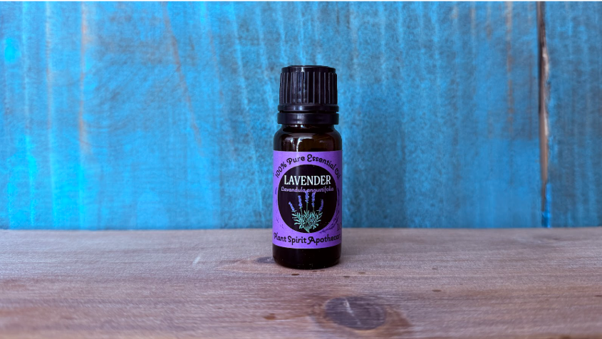 Organic Lavender Essential Oil 10ml (Lavandula augustifolia)