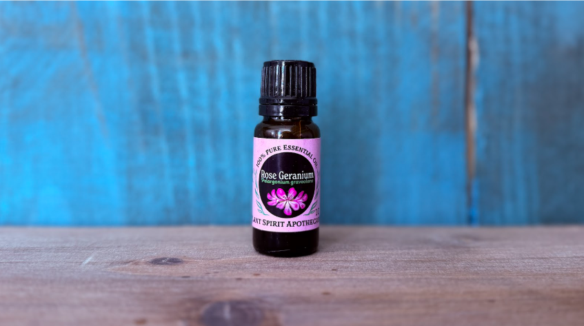 Organic Rose Geranium Essential Oil 10ml (Pelargonium capitatum)