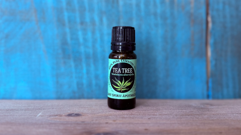 Organic Tea Tree Essential Oil 10ml (Melaleuca alternifolia)