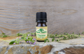 Organic Thyme Essential Oil 5ml (Thymus vulgaris)