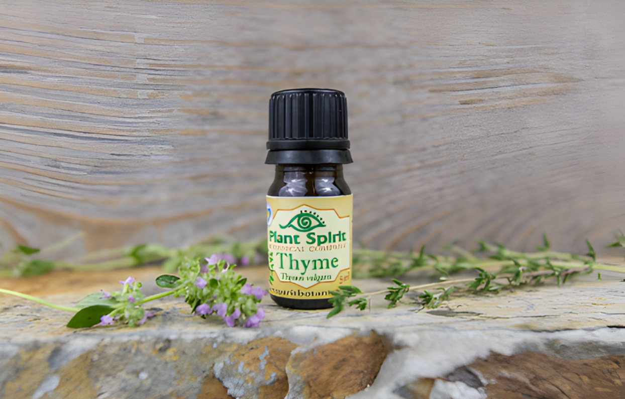Organic Thyme Essential Oil 5ml (Thymus vulgaris)