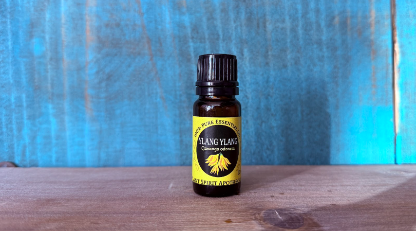 Organic Ylang Ylang Essential Oil 10ml (Cananga odorata)