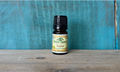 Organic Anise Seed Essential Oil 5ml (Pimpinella anisum)