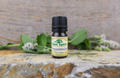 Organic Peppermint Essential Oil 5ml (Mentha x piperita)