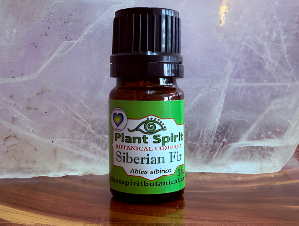 Organic Siberian Fir Essential Oil 5ml (Abies sibirica)