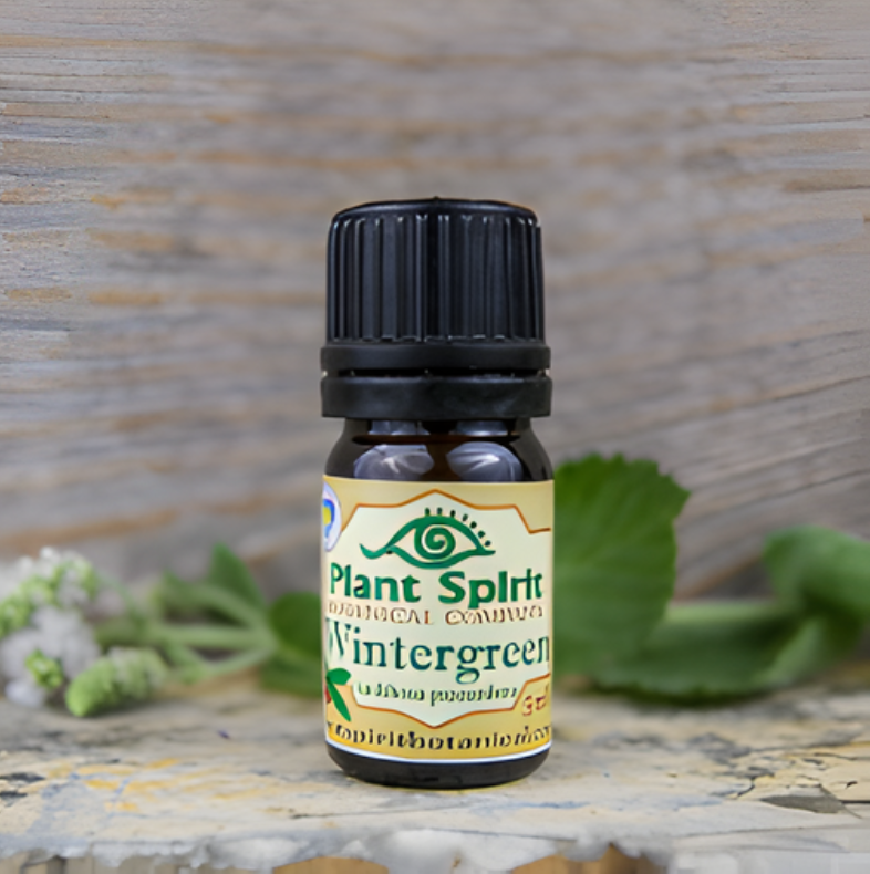 Organic Wintergreen Essential Oil 5ml (Gaultheria procumbena)