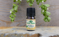 Organic Melissa Essential Oil 5ml (Melissa officinalis)