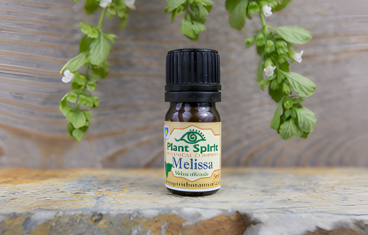 Organic Melissa Essential Oil 5ml (Melissa officinalis)