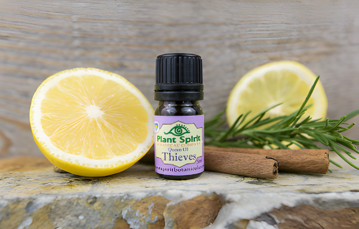 Queen of Thieves Organic Essential Oil Blend (5ml)