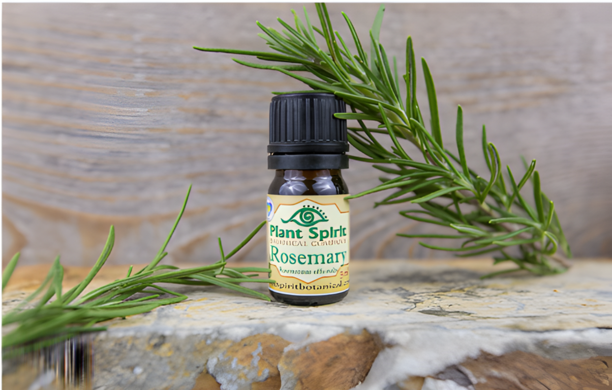 Organic Rosemary Essential Oil 5ml (Rosemarinus officinalis)