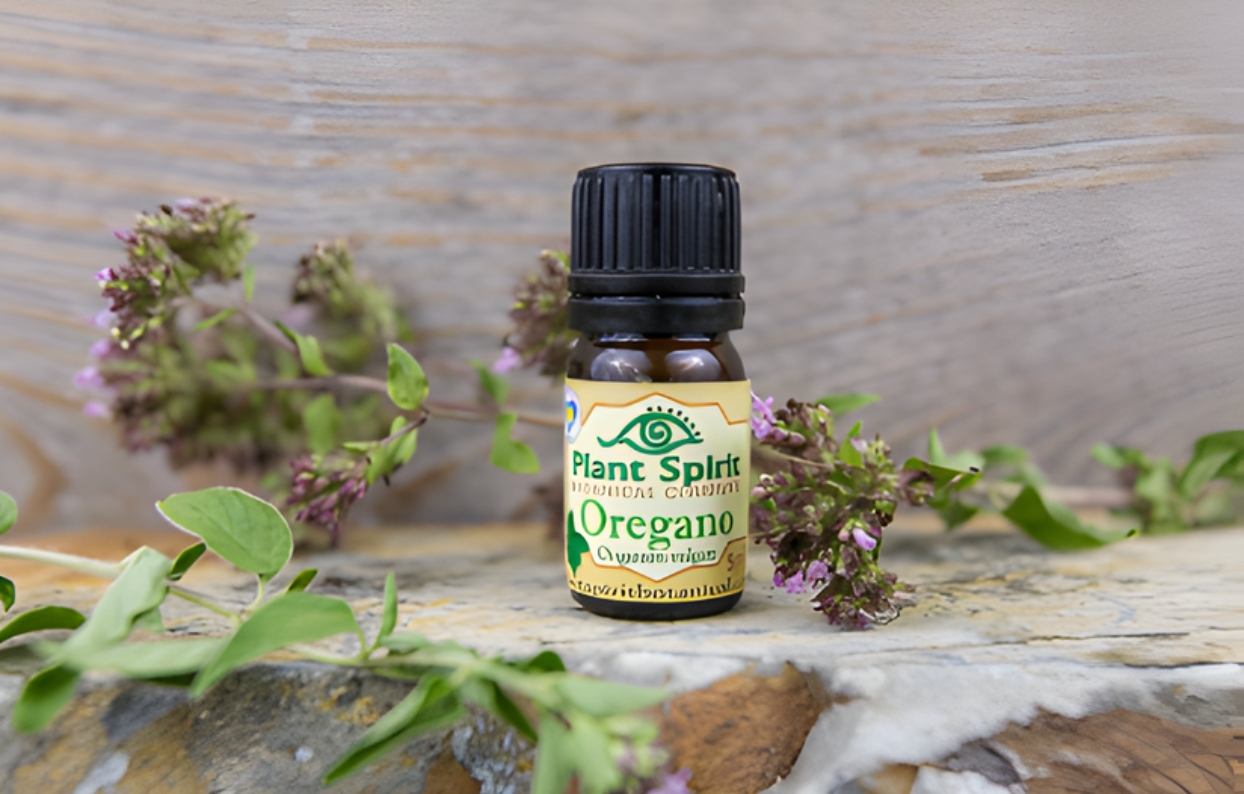 Organic Oregano Essential Oil 5ml (Origanum vulgare)